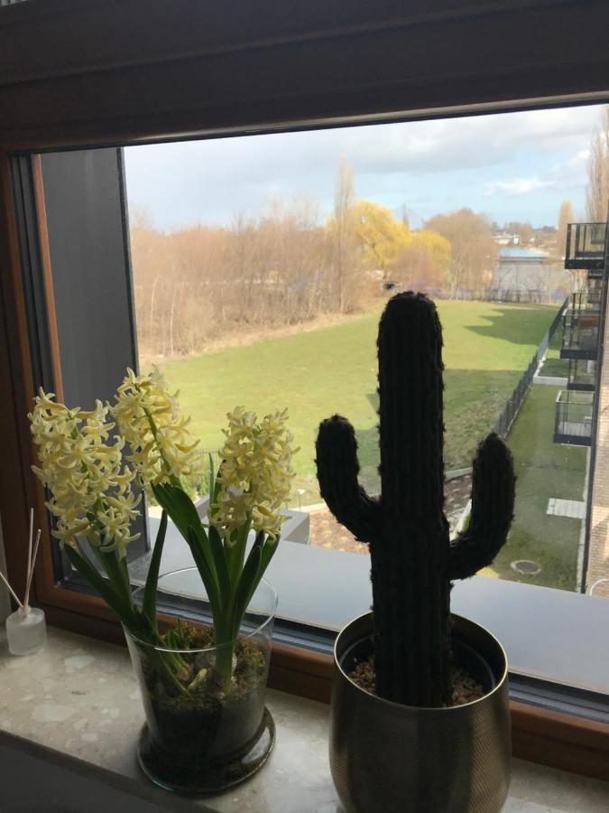Baltic Riviera Apartments - Garden Sanctuary Retreat Gdansk Luaran gambar